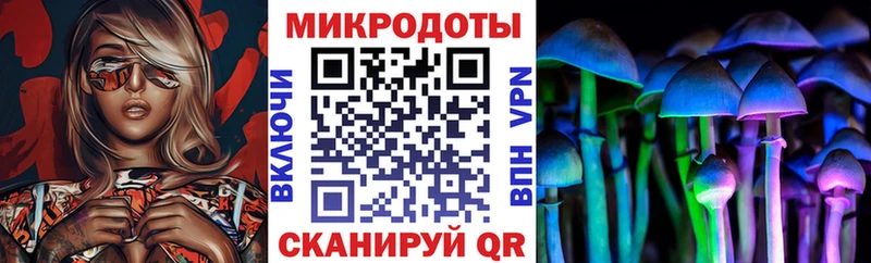 Галлюциногенные грибы прущие грибы  Яровое 
